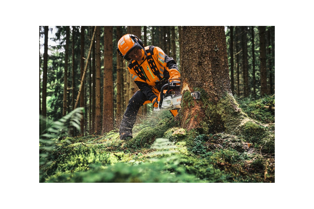 Perché scegliere STIHL MS 300.0 C-M