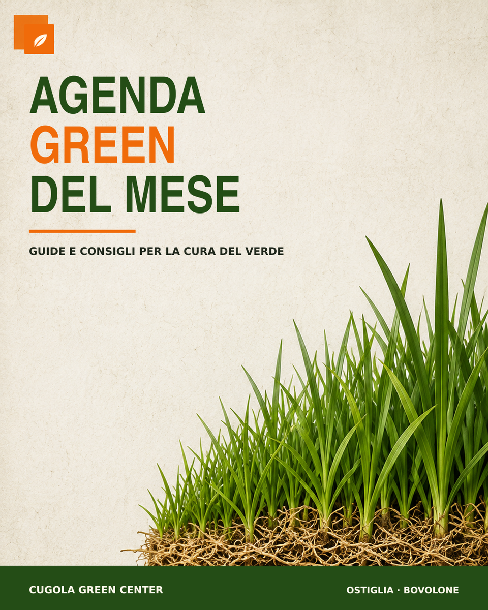 COVER AGENDA GREEN.png