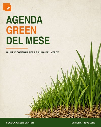 COVER AGENDA GREEN.png