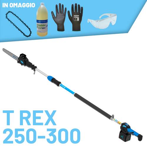 POTATORE ELETTRICO SU ASTA CAMPAGNOLA T REX 250-300