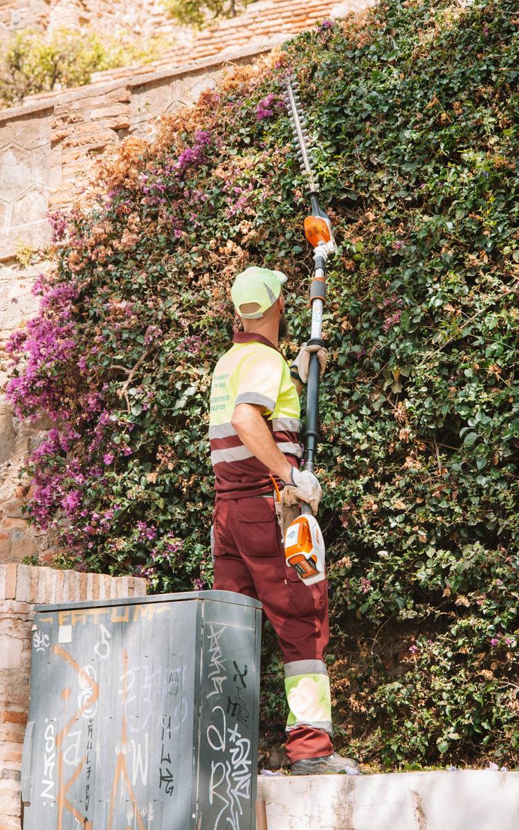 In quali casi serve un tagliasiepi telescopico?